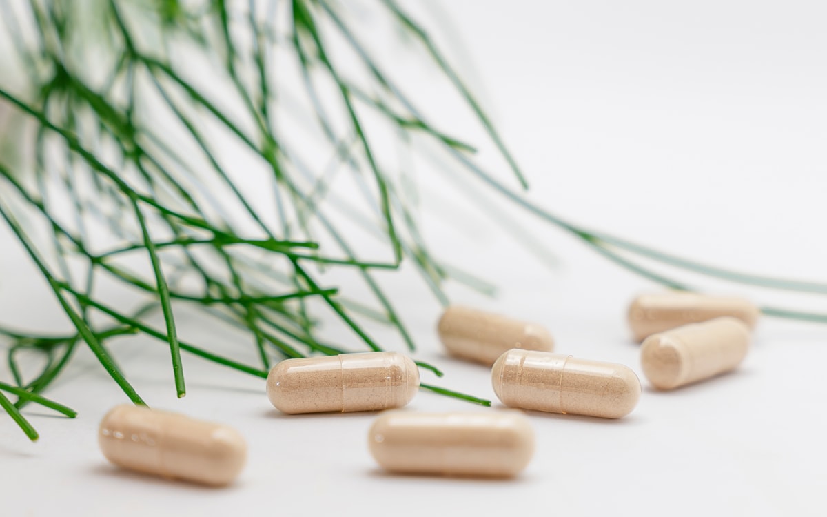 Comprehensive fertility nutrition guide